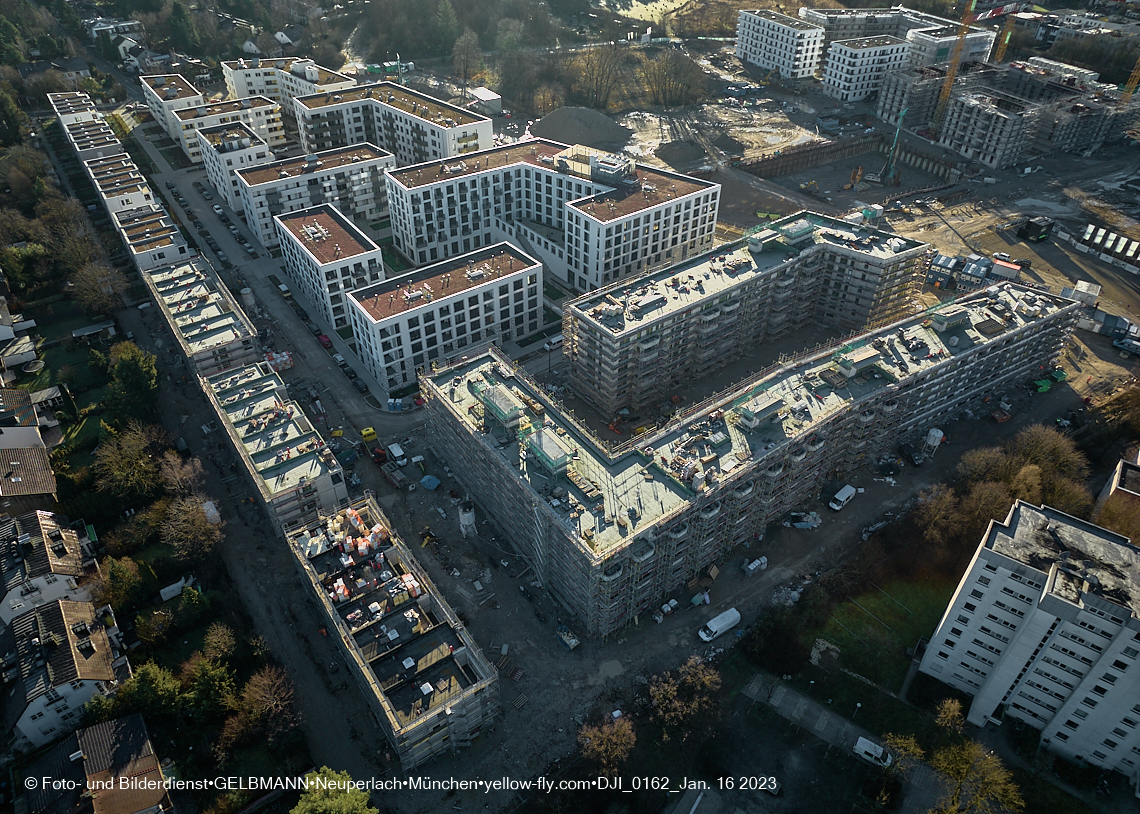 16.01.2023 - Alexisquartier und Pandion Verde
